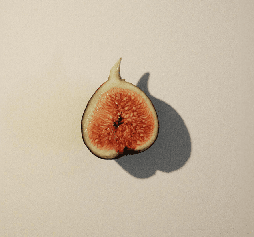 About Fig logo